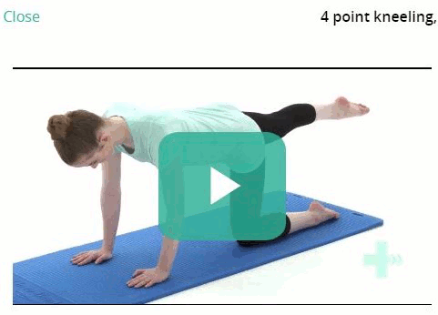 Exercise Rehabilitation